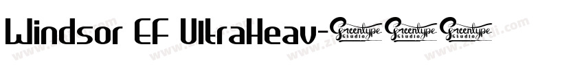 Windsor EF UltraHeav字体转换